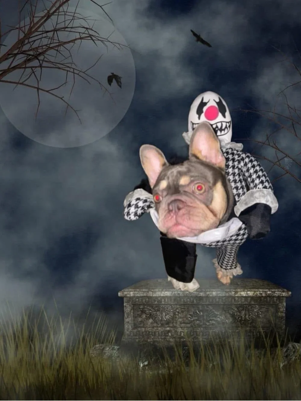 Viral Halloween Clown Dog Headless Tray Costume
